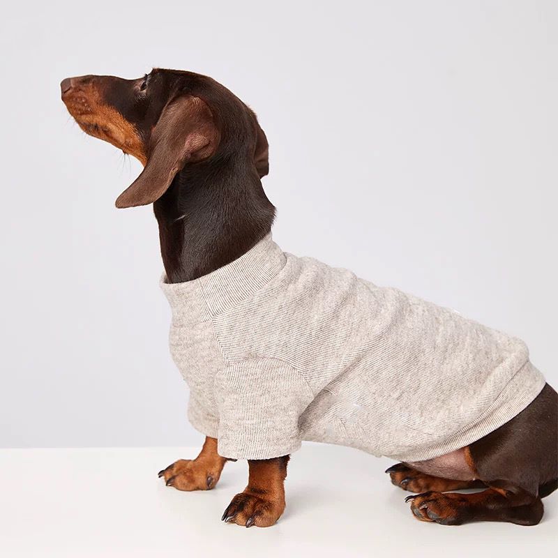 Vestiti per cani e gatti, resistenti al freddo, eleganti, dalla consistenza confortevole, caldi per l'autunno e l'inverno, per bassotti Bichon Frise_voghion.com