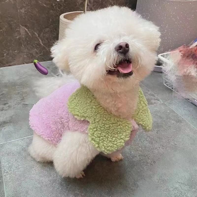 Sonbahar Kış Cadılar Bayramı Evcil Hayvan Havuç Patlıcan Mont Sıcak Polar Dönüşüm Kıyafeti Kedi Köpek Pamuklu Giysiler_voghion.com