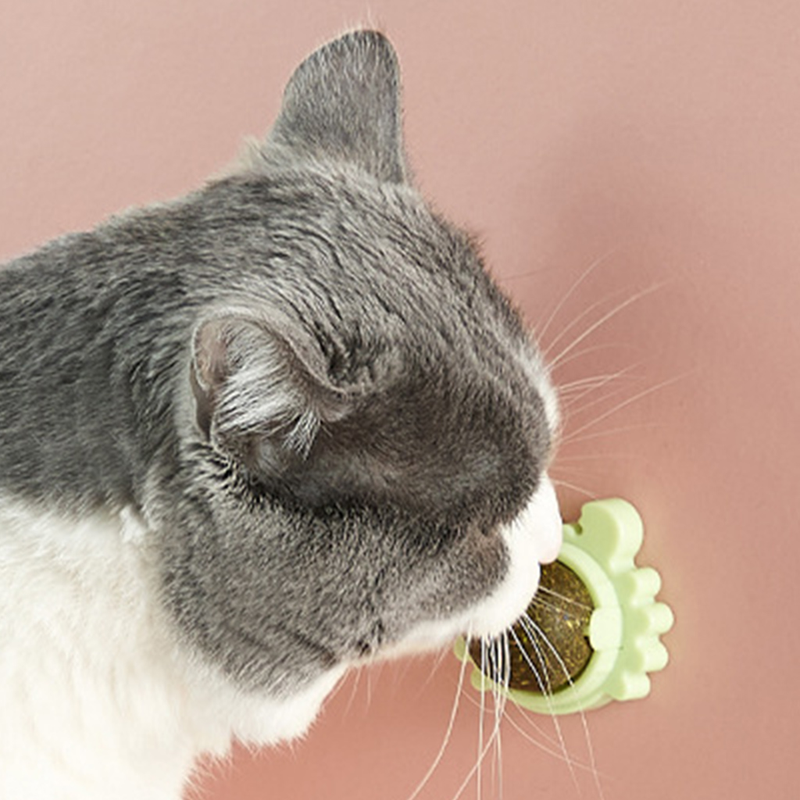 3 Pcs/Set For Cat Catnip Toys With Lid Interactive Toy Teeth Cleaning Mint Ball_voghion.com
