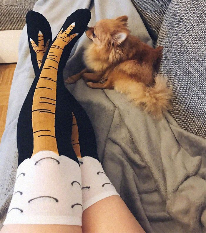Unisex interneto garsenybių dizaino liekninančios vidurinės kojinės per kelius pėdos kojinės pėdos kojinės dviračių sportui kojinės pėdų kojinės_voghion.com