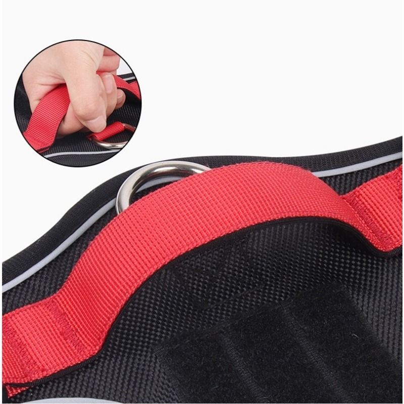 Pet Chest Harness Vest Style Large Dogs Explosion Proof Flushing Traction Rope Dog Outdoors Go Out Play Traction Rope_voghion.com