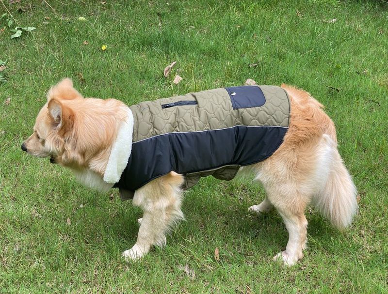 Pocket new pet clothes autumn and winter dog clothes vest cotton coat double sided wearable dog clothes coat clothing_voghion.com