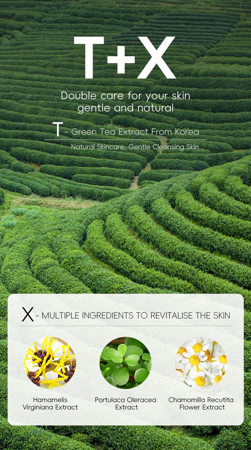 FENYI Green Tea Facial Cleanser 50g Hydrating Cleanser_voghion.com