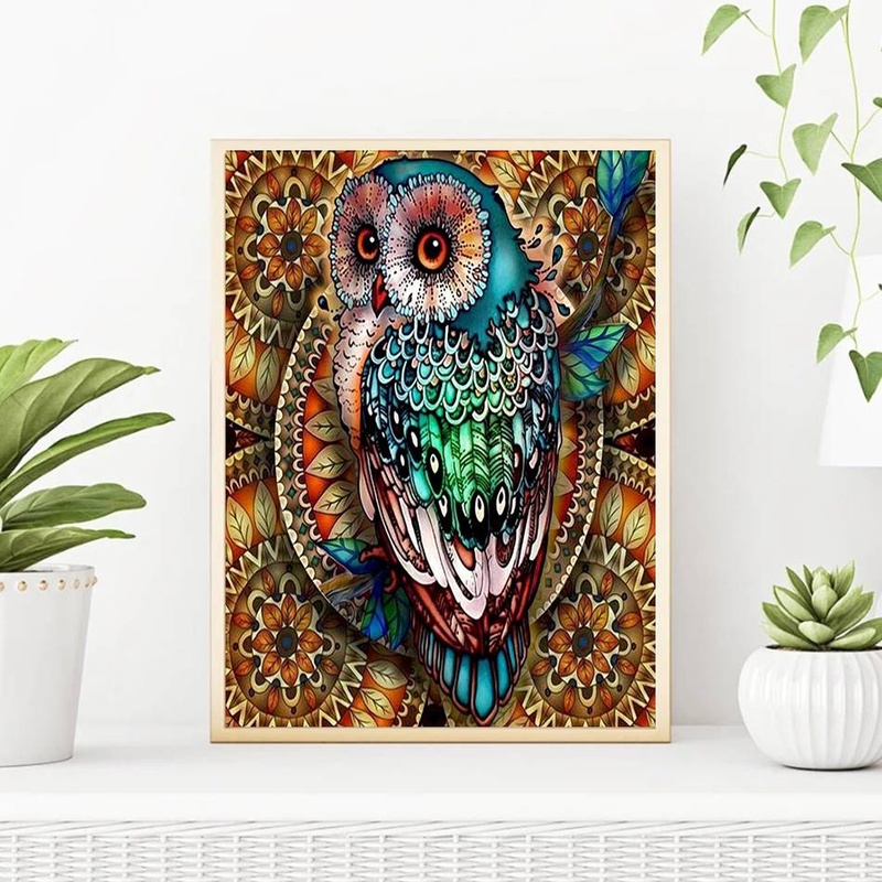 RUOPOTY 40x50cm Paint By Numbers Kits Canvas Painting Mandala Flower Owl Number Paiting Wall Art _voghion.com