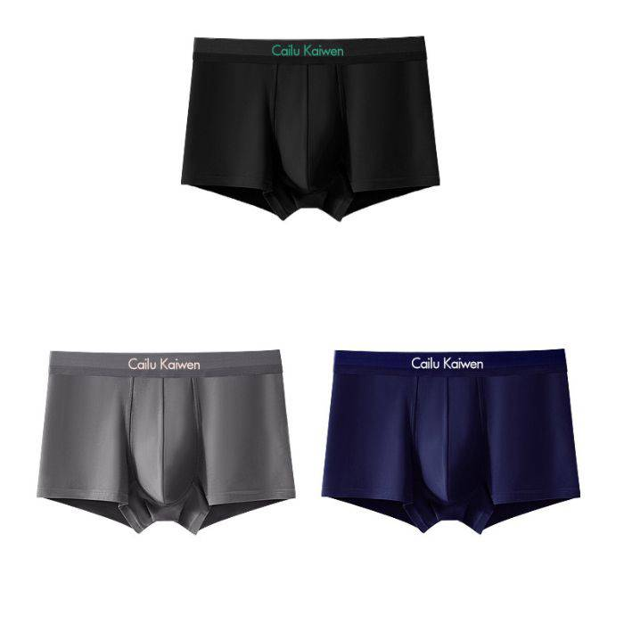 4PCS Boksarice velike velikosti brezšivne bombažne moške boksarice poletne tanke hlače velikosti L-4XL_voghion.com