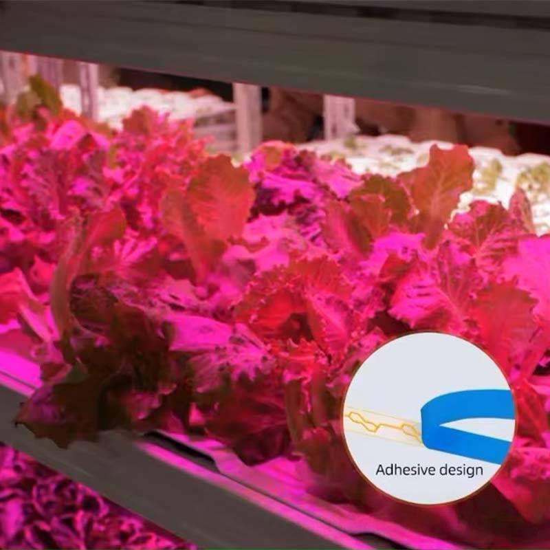 Striscia luminosa a LED USB da 5 V per piante da interno, idroponica e serre, chip 2835, 30 LED/metro, spettro viola_voghion.com