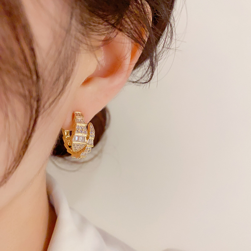 Designer zircon snake-shaped small earring personality niche design geometric studs light luxury high sense earring girls_voghion.com