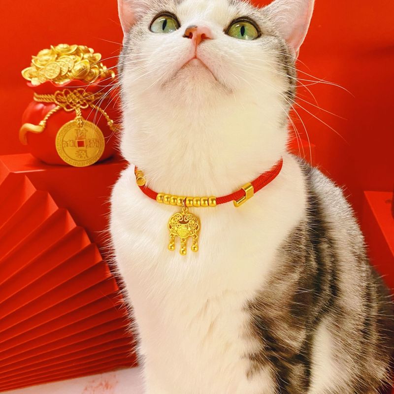Collare per animali domestici, nuovo, con lucchetto a lunga durata, per la pace, per le feste, per l'anno del drago, per gatti, cani di piccola taglia, collana in oro regolabile_voghion.com