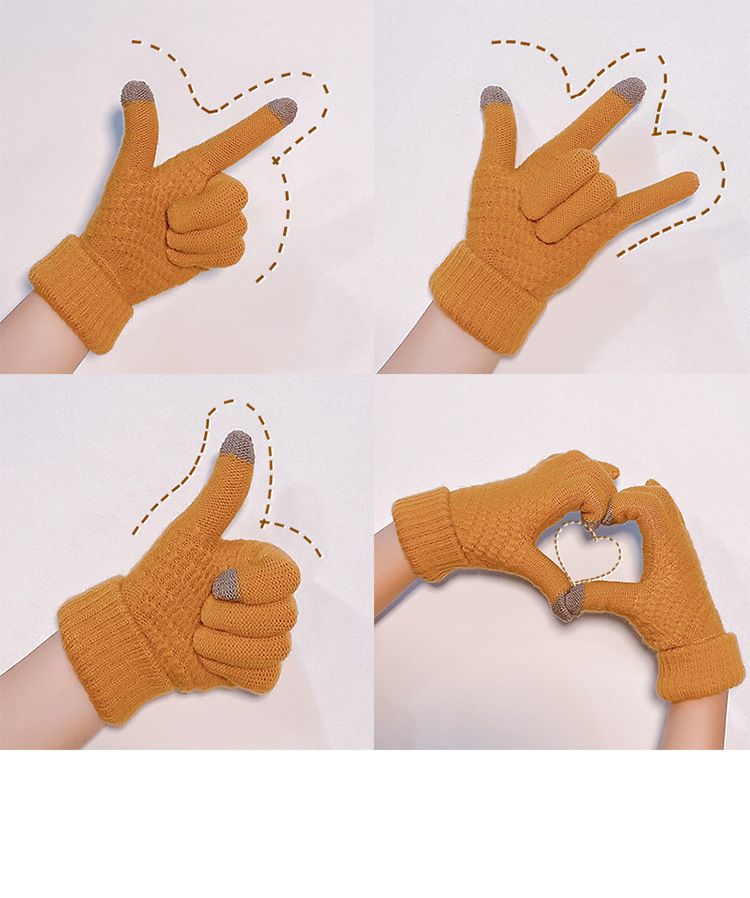 Women's 2025 Fall/Winter New Double-Layer Cold-Resistant Suede Gloves_voghion.com