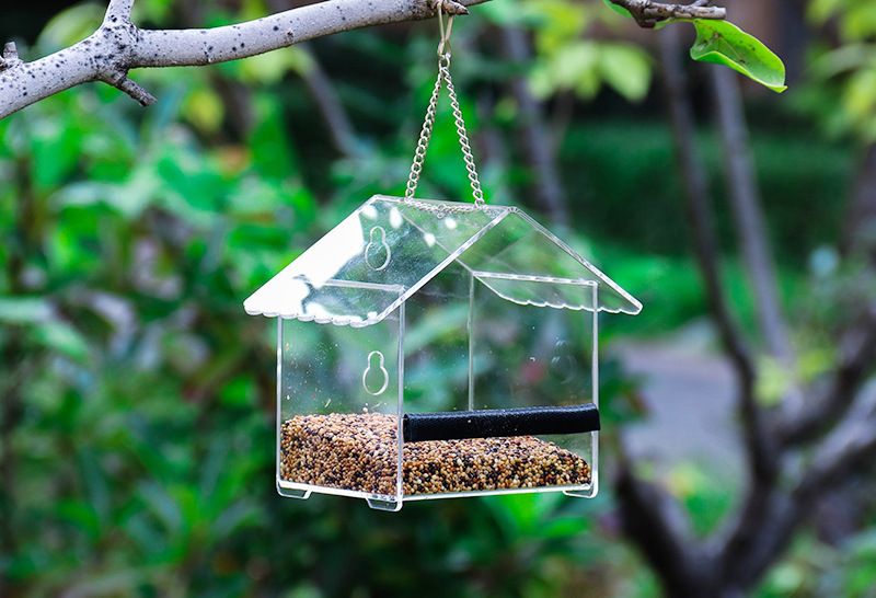 Großer Vogelkäfig aus Acryl-Kunststoff für den Außenbereich, Adsorptions-Vogelfutterspender, Panorama, transparentes organisches Glas, Haustier-Vogelnest_voghion.com