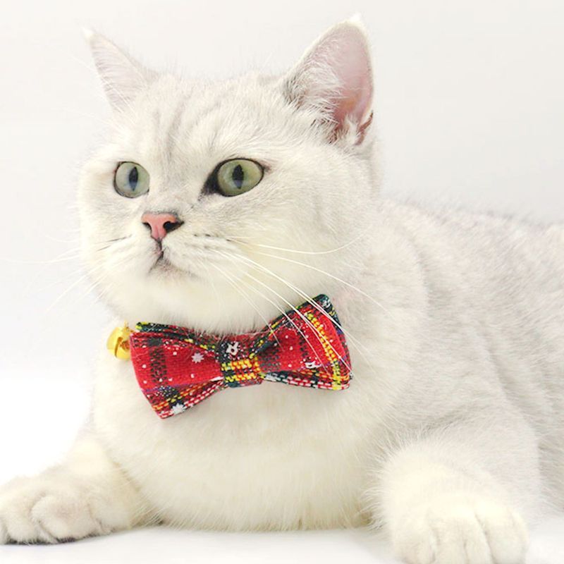 Coleira de gato de Natal fofa com gravação de nome e sino vermelho, mais vendida_voghion.com