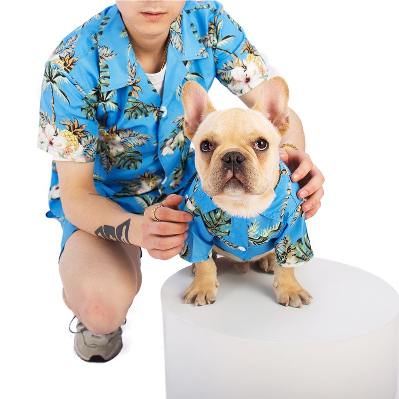 Abbigliamento per cani di piccola e media taglia, camicia hawaiana, gatto Golden Retriever, primavera estate, quattro stagioni, stile spiaggia_voghion.com