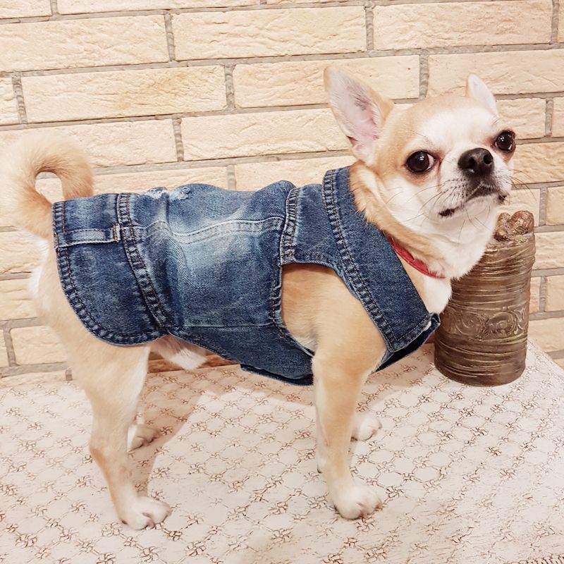Retro Dog Clothes Small Dogs Beautiful Jacket For Puppies Durable Denim Vest With French Bulldog Universal Seasonal By PawParty Store_voghion.com