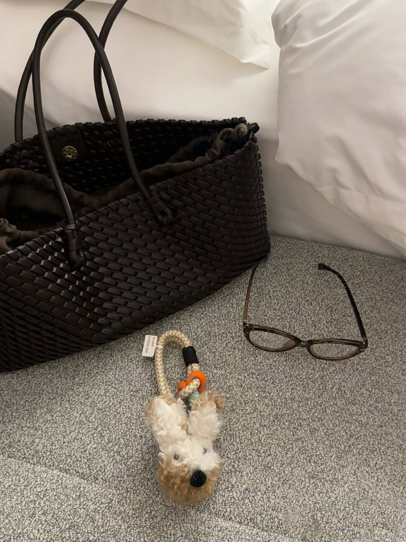 "2025 New Style Woven Tot Bag, Fashionable High-end Large Capacity Handbag, Single-shoulder Shopping Bag For Women."_voghion.com