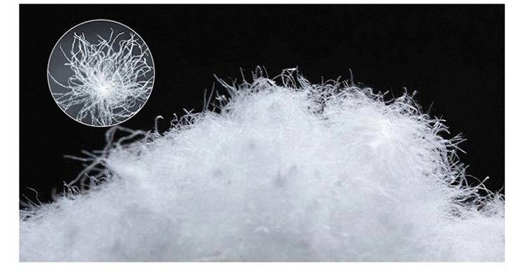 Piumino leggero da donna con cappuccio, cappotto aderente a maniche lunghe, piume d'anatra bianche, moda autunno inverno, strati versatili_voghion.com