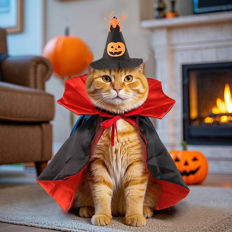 Halloween Haustier Spinne Hexenhut Umhang Zweiteiliges Set Katze Lustiges Kostüm Vampir Transformation Outfit_voghion.com