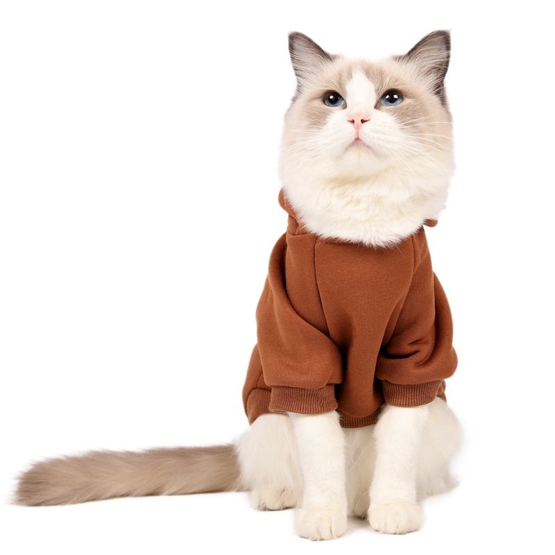 Furnizare transfrontalieră de modă caldă britanică scurtă pisică albastră Teddy câine mijlociu și mic cu glugă haine pentru câini pulover pentru animale de companie_voghion.com