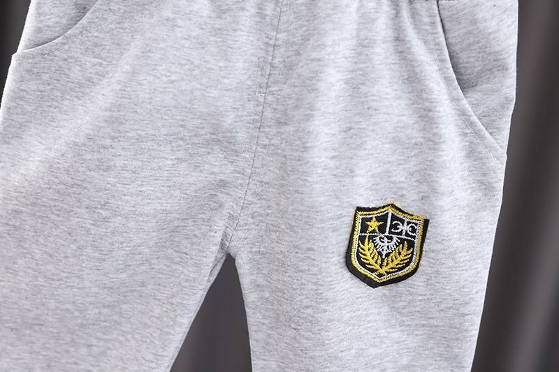 Jungen-Herbstanzug, modisch, hübsch, College-Stil, langärmelig, Oberteil, Hose, zweiteilig, für Kleinkinder und Babys_voghion.com