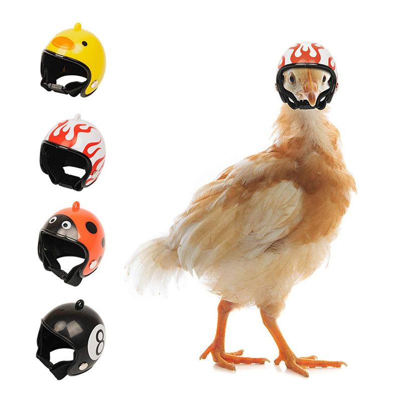 Pet Supplies Protection Chicken Helmet Chick Hen Hat Bird Hat Headgear_voghion.com