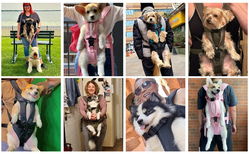 Zaino per trasporto animali domestici per cani e gatti, in spugna ispessita, con tracolla frontale per animali domestici, borse per trasporto cuccioli e cani portatili_voghion.com