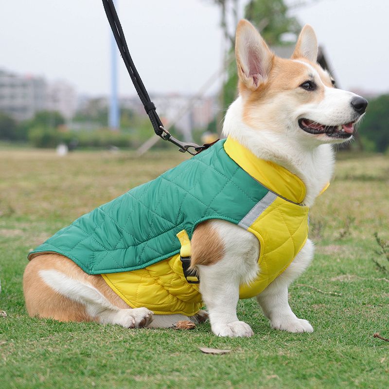 New winter dog clothes thickened Dou dog clothes reflective dog cotton-padded pet clothes wholesale_voghion.com