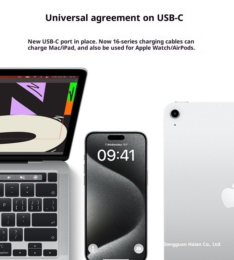 Caricabatterie a ricarica rapida da 45 W compatibile con cavo dati 16 12 Pro originale 13 Plug XS Phone R_voghion.com