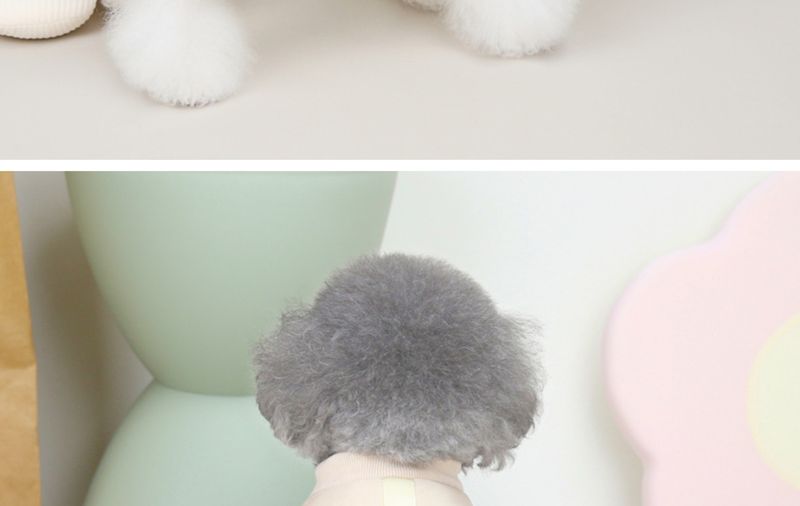 Pet dog autumn and winter new clothes, pet clothing 22 obediently bear four leg cotton clothes_voghion.com
