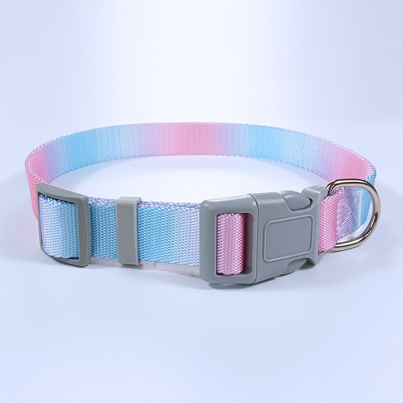 Guinzaglio Dopamina Gradient Color Gilet Pettorina Catena Corda per Cani_voghion.com