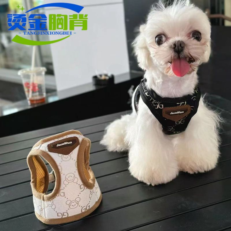Arnés transpirable ajustable para perros pequeños y medianos, estilo chaleco, correa para gatos, con lámina dorada, accesorios de moda._voghion.com
