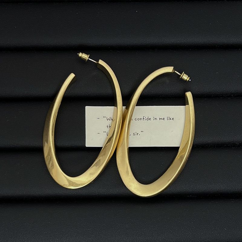 Orecchini a cerchio ovali in stile minimalista Silver Needle, semplici e alla moda, eleganti gioielli per le orecchie di alta qualità_voghion.com