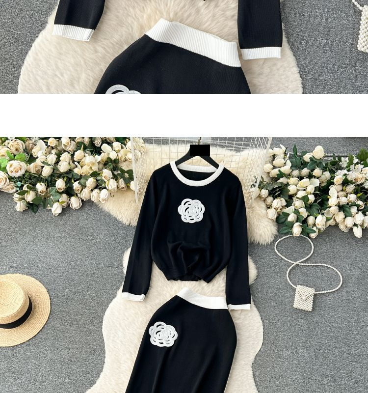 Zweiteiliger Anzug für Damen mit kontrastierendem Farbdesign, Rundhalsausschnitt, lockerem Langarm-T-Shirt und hoch tailliertem, schmalem, mittellangem Rock_voghion.com