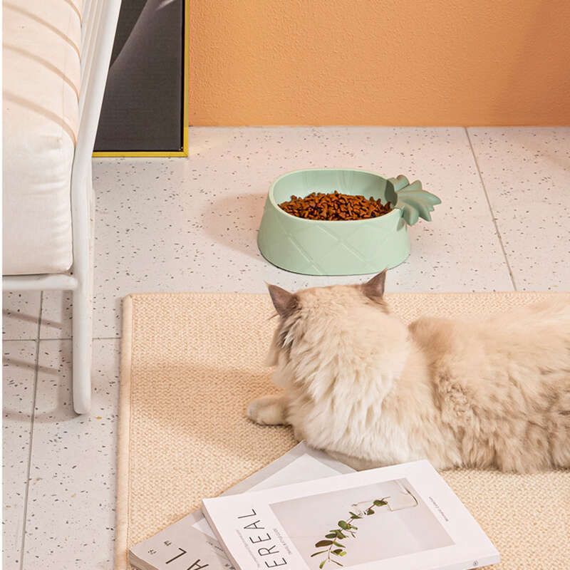 Ciotola per cani di grande capacità, antiurto, con protezione antivento per il collo, a forma di ananas e fragola, in plastica per animali domestici_voghion.com