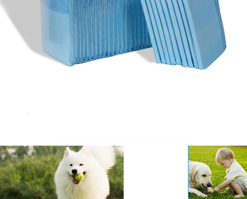 Scutec îngroșat pentru câini, scutec din hârtie pentru animale de companie, scutec Teddy, scutec pentru câini_voghion.com