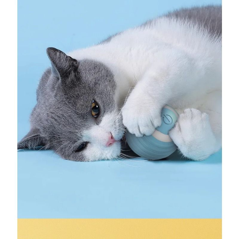 1Pc Cat Interactive Ball Smart Cat Toys Indoor Automatic Rolling Magic Ball Electronic Interactive Cat Toy Cat Game Accessories_voghion.com