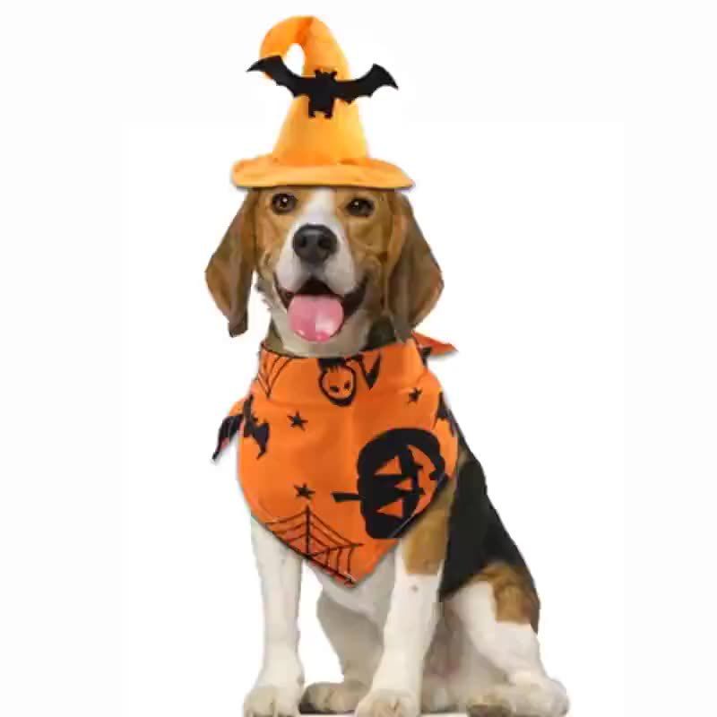 Set di vestiti per animali domestici di Halloween, cappello da pipistrello, bavaglino da zucca, costume da gatto, accessori divertenti_voghion.com