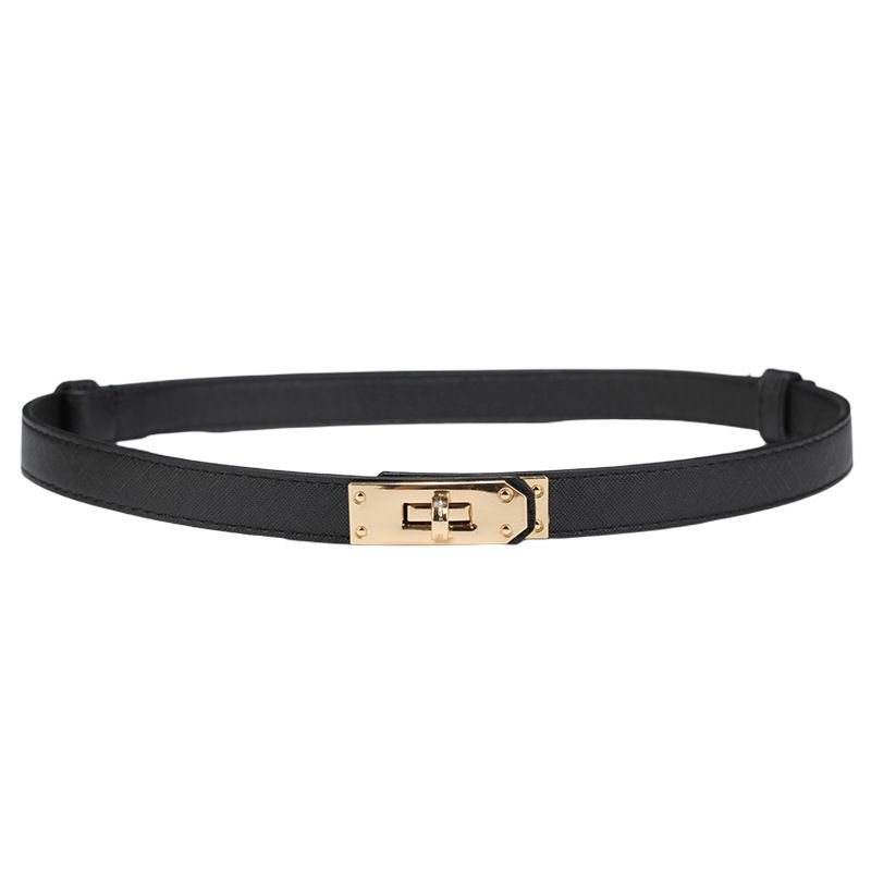 2025 Neue Damen-Taillenschnalle, schmal, dünn, für lange Kleider und Röcke, verstellbarer kleiner Gürtel_voghion.com