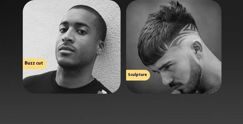 Professioneller Haarschneider – Kabelloser Trimmer aus Titan mit LCD-Display, ultraleisen Motor und Schnellladung Typ C für Männer, Frauen und Haustiere_voghion.com