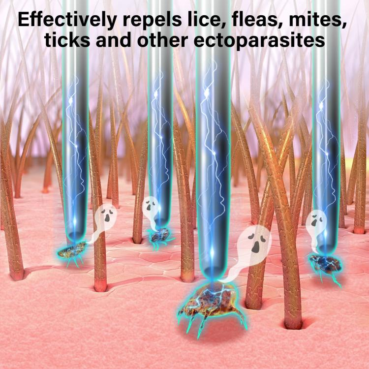 Pet Safe Physical Worming Electronic Comb Pet Flea Control Brush_voghion.com