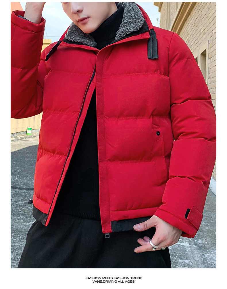 Cappotto in cotone per abbigliamento da uomo, cappotto in cotone ispessito, tendenza della moda, versatile cappotto in cotone ricamato con colletto rialzato, taglie forti_voghion.com