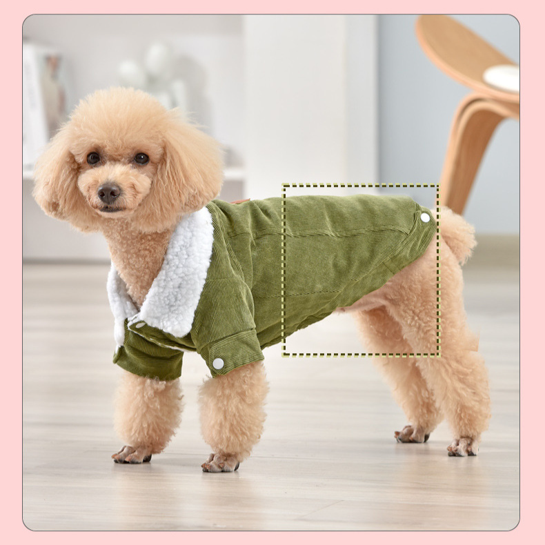Manteau d'hiver rembourré en coton pour animaux de compagnie en velours côtelé pour chiens de petite et moyenne taille_voghion.com