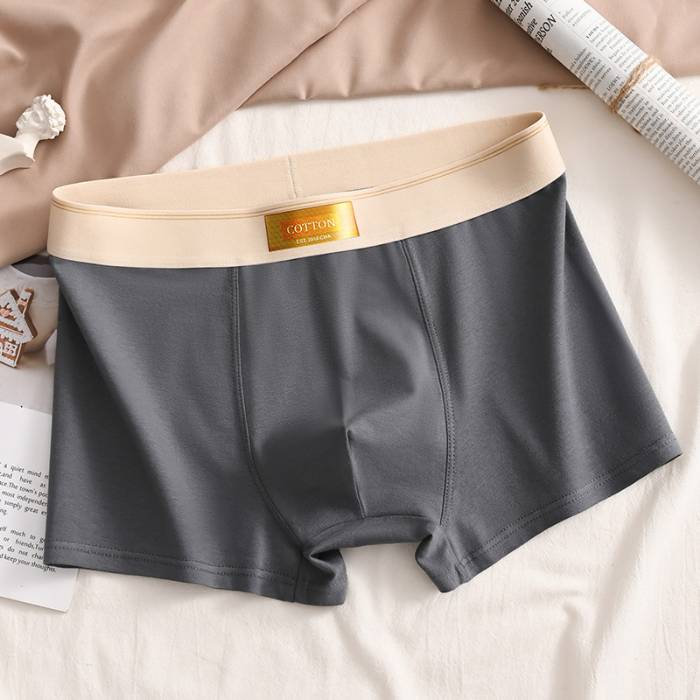 4PCS high quality men's boxer shorts summer L-6XL_voghion.com