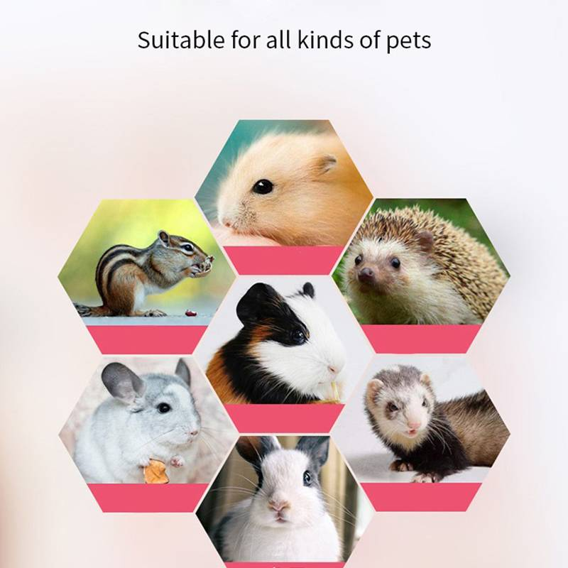 Cama colgante para animales pequeños Jaula tipo nido Suministros para mascotas_voghion.com