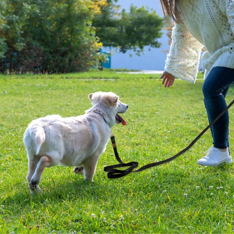 Pet Tracking Towing Leash Multifunctional Dog Walking Leashes_voghion.com