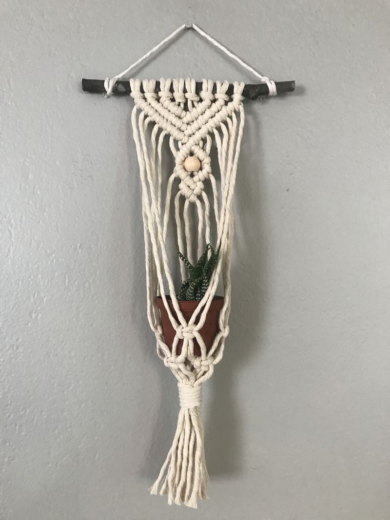DIY Macrame Air Plant Hanger Kit - The Anika_voghion.com