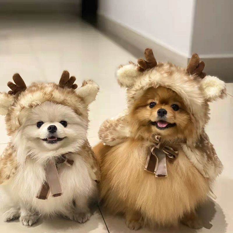 Pet dog cat Christmas Halloween clothes Elk dress autumn and winter plush small and medium-sized dogs than bears Fadou corgi transform clothes cute_voghion.com