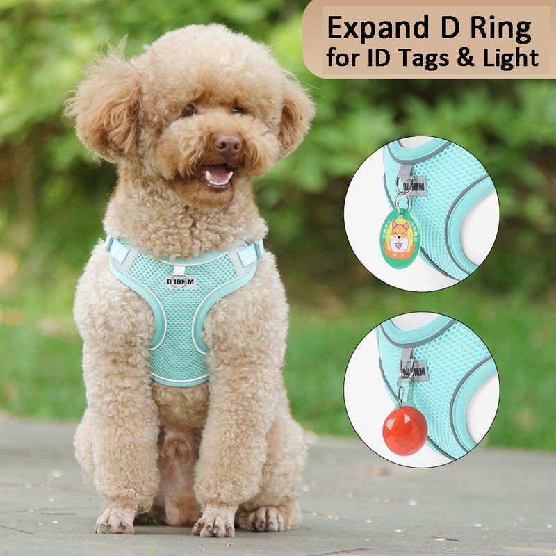 Reflective Harness Leash Dogs, Mesh Vest For Small And Medium Pets, Poodles, Dog Accessories By PawParty Store_voghion.com