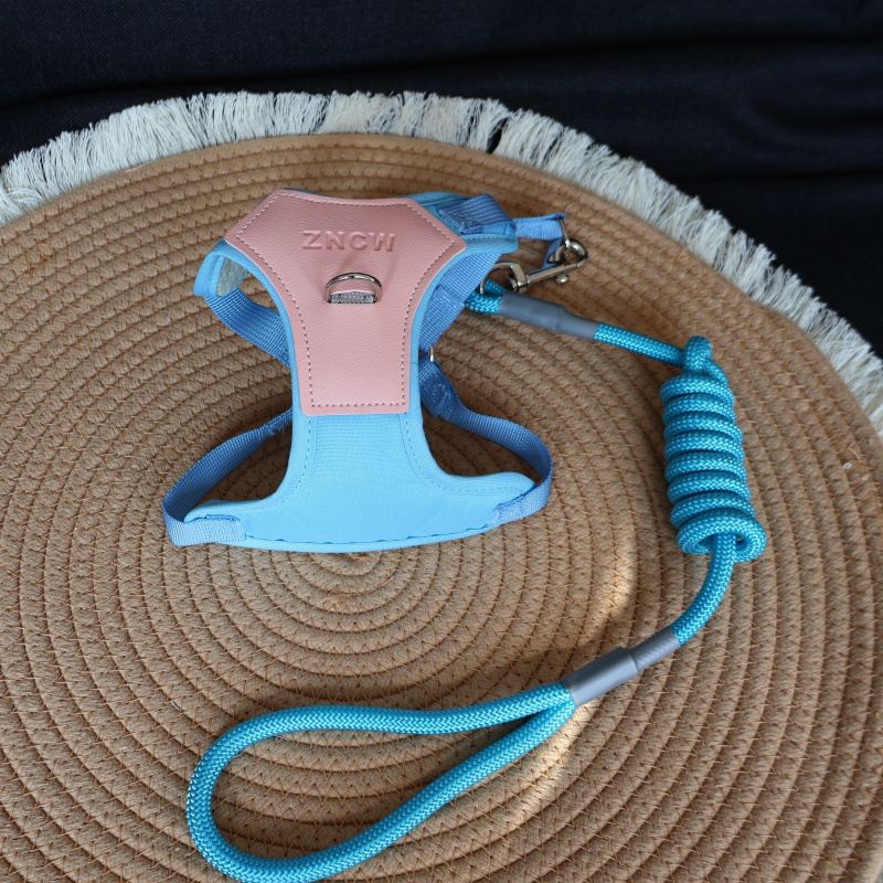 Guinzaglio antisporco per cani da compagnia, regolabile, per passeggiate, taglia media e piccola, traspirante, in corda, per esterni_voghion.com