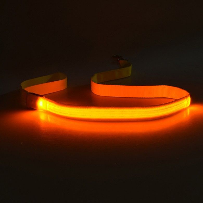 LED Pet Harness Light-Up / USB Flashing Light Leash Dog Rope_voghion.com
