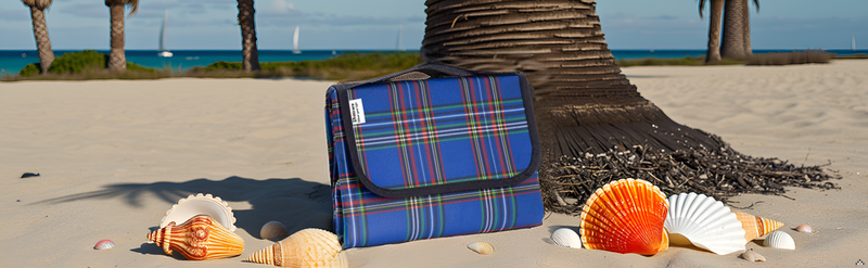 Beach Picnic Blanket, Sandproof Waterproof Camping Blankets Large, Outdoor Sandfree Foldable Mat 55x40in, Oversized_voghion.com