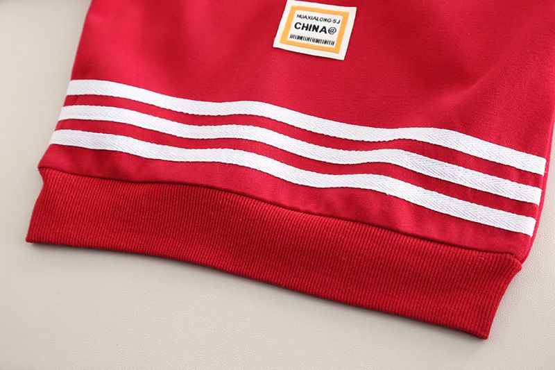 Felpa con cappuccio versatile a maniche lunghe per neonati, stile 2025, per la collezione primavera e autunno di bambini di piccola e media taglia_voghion.com